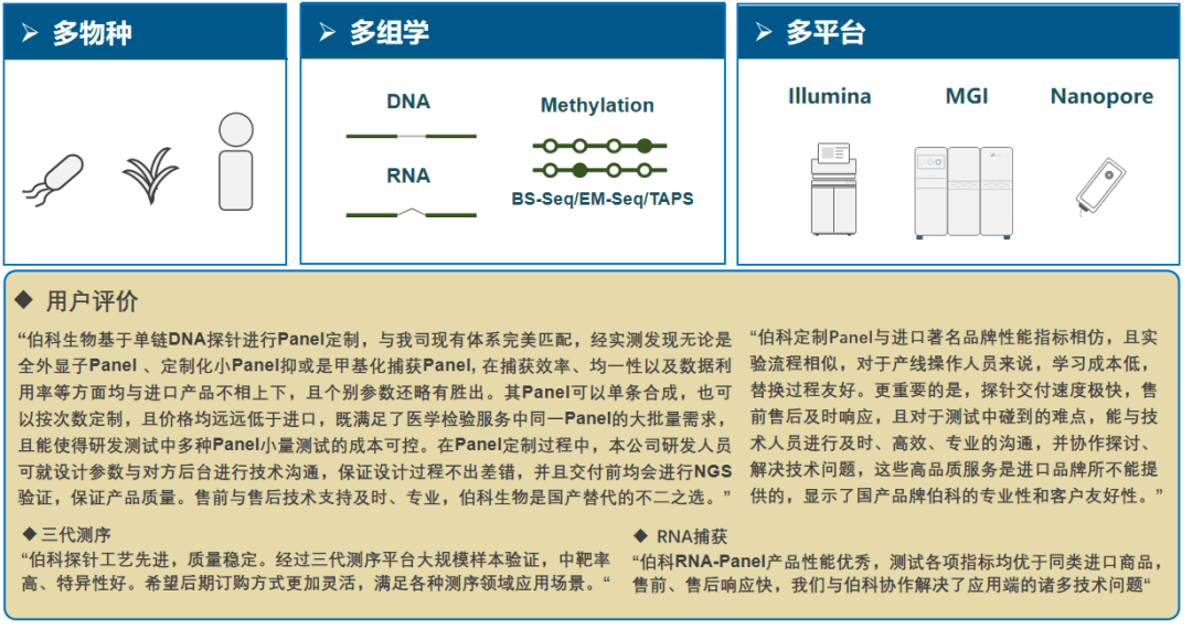 上海生工引物合成,上海生工引物合成與精細設計解析，入門版,深入解析設計數據_鋟版98.78.98