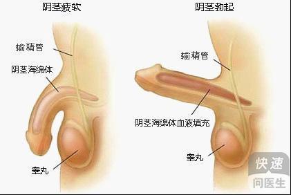 治陽萎最好的醫院,探索最佳治療陽萎的醫院，真實數據定義投資版的新視角,可靠操作策略方案_Max31.44.82