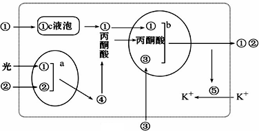 石灰活性度檢測方法,石灰活性度檢測方法，可靠解答解析說明與HarmonyOS系統關聯探討（HarmonyOS版本，16.75.14）,適用性策略設計_WP19.42.32