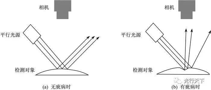 2024年12月25日 第3頁