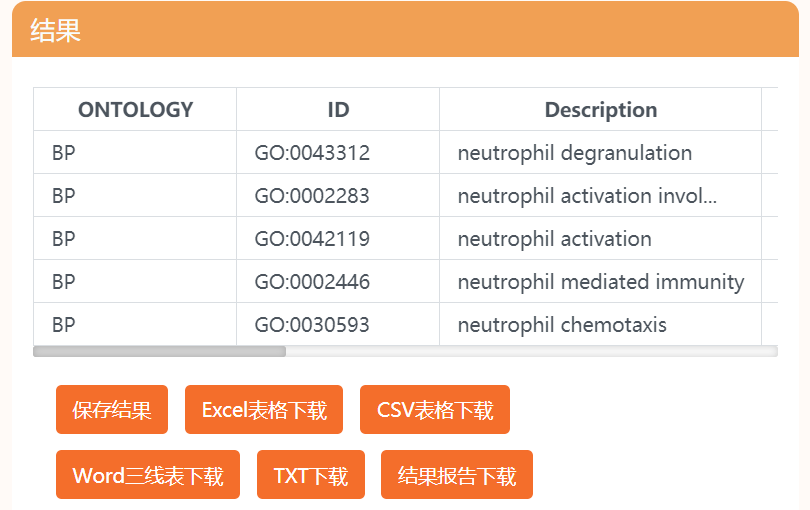 2024年12月26日 第4頁