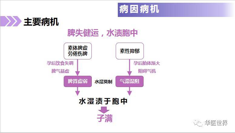 水分保持劑分類,水分保持劑分類與實證分析解析說明,專業執行解答_GM版11.45.60