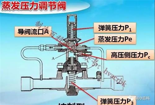 2024年12月28日 第10頁