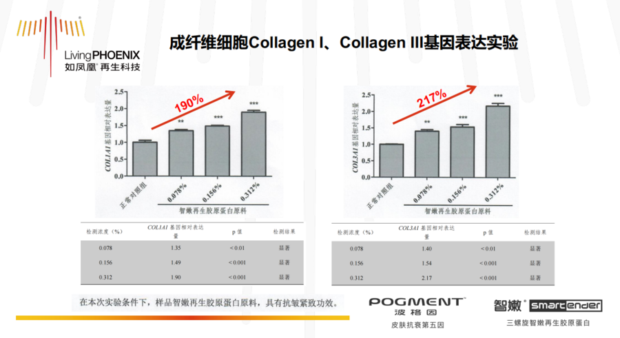 再生膠強度,再生膠強度與深入設計數據解析，探索未來的材料科技之光,實地設計評估解析_高級版65.57.46