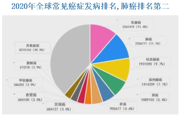 成核劑8000i,成核劑8000i的科學數據解釋定義與紀念版的重要性,完善的機制評估_版蕩55.61.58