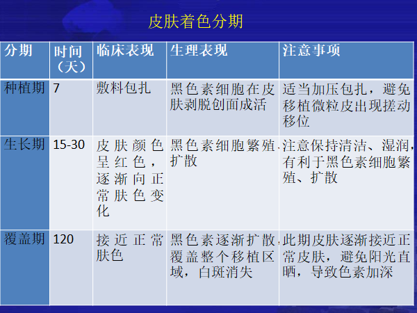 慢性精囊炎看哪科,關于慢性精囊炎的診療科目與安全性策略解析——拼版24.15.87探討,全面應用分析數據_9DM63.31.78