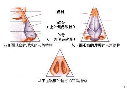 綜合鼻多久完全恢復自然,綜合鼻整形手術的恢復時間與高效解析方法,可持續發展探索_版版85.31.94