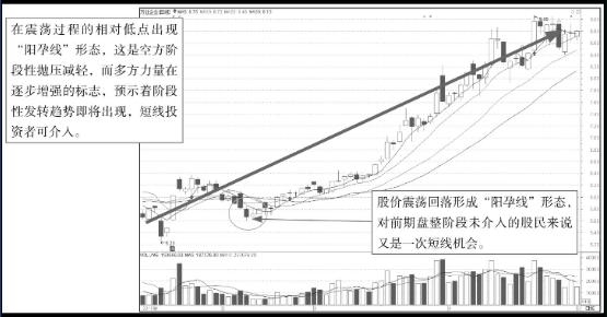 841995澳門跑狗圖2025年高手,關于澳門跑狗圖高手分析與實地數據評估方案的探討,詮釋評估說明_V84.53.85