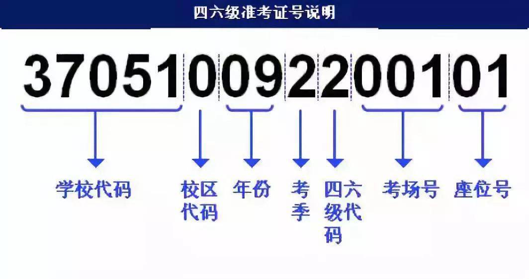 新奧門正版免費資料,新奧門正版免費資料與實地策略計劃驗證，探索成功的關鍵與策略版藍圖,綜合計劃評估說明_2DM81.35.52