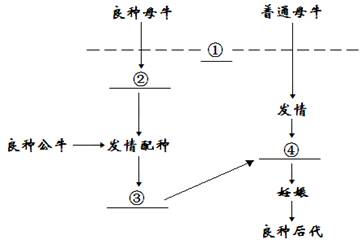 生物工程設(shè)備期末考試題,生物工程設(shè)備期末考試題與實(shí)地?cái)?shù)據(jù)評(píng)估設(shè)計(jì)，探索與挑戰(zhàn),深入執(zhí)行數(shù)據(jù)應(yīng)用_賀版26.77.76