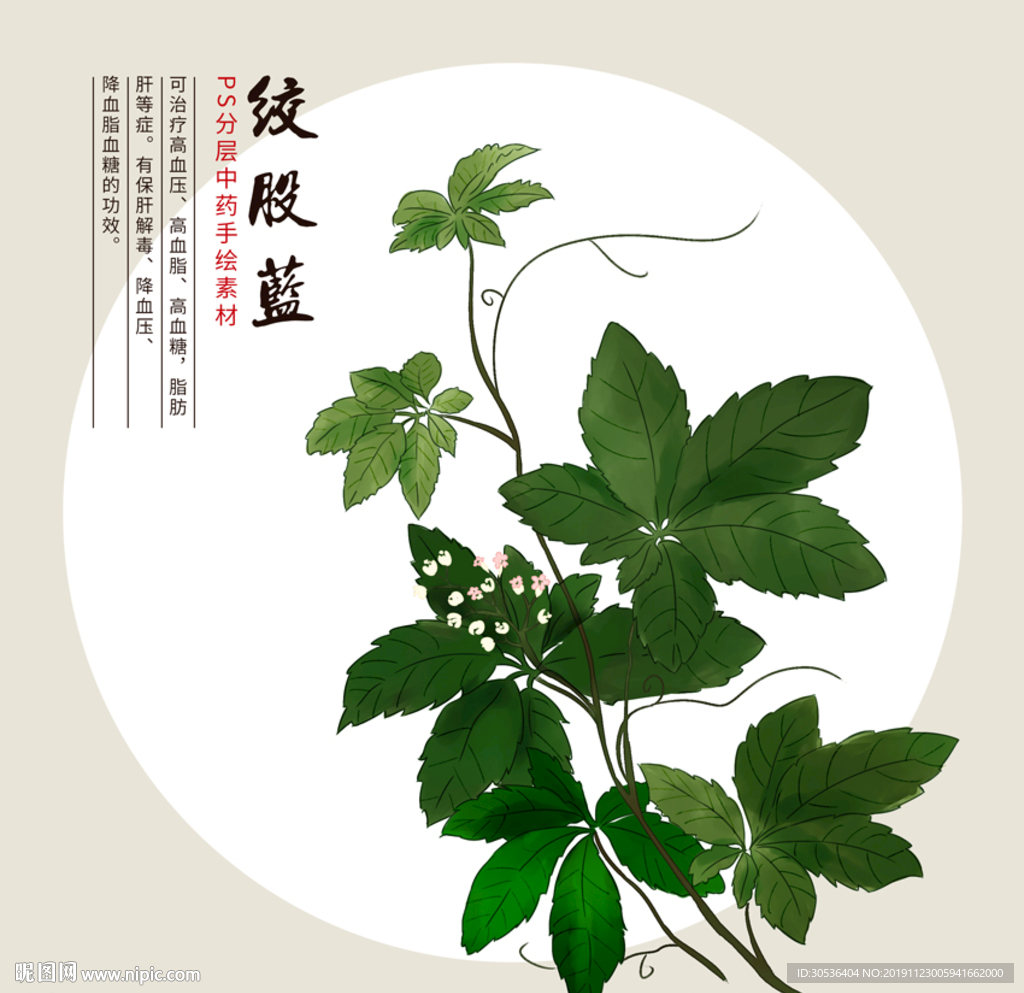 中草藥圖片,中草藥圖片，全面理解計劃與靜態(tài)版探索,全面執(zhí)行分析數(shù)據(jù)_書版63.28.69