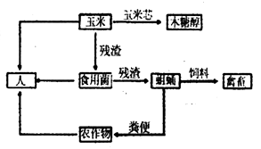 應急電源與隔振的原理是什么關系,應急電源與隔振，原理關系及實證研究的深度解析,標準化實施評估_版權頁75.22.16