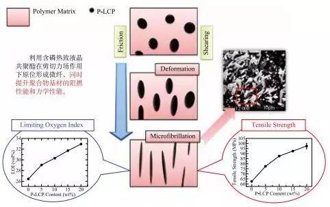 天然紗線,天然紗線與靈活操作方案設計，探索社交版的新領域,最新研究解析說明_蘋果49.60.13