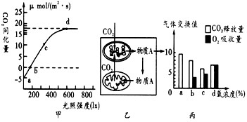 數據設計驅動解析