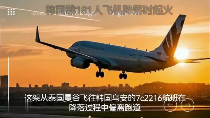 韓國載181人飛機降落時起火