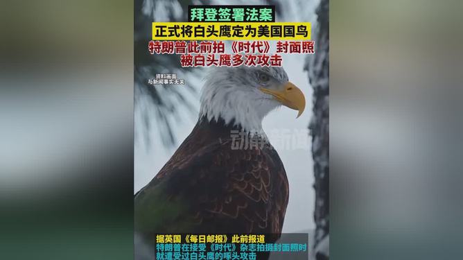 白頭鷹被正式指定為美國國鳥