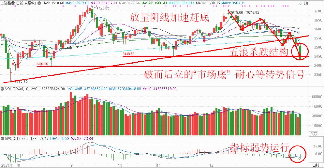 新澳門特波的走勢圖