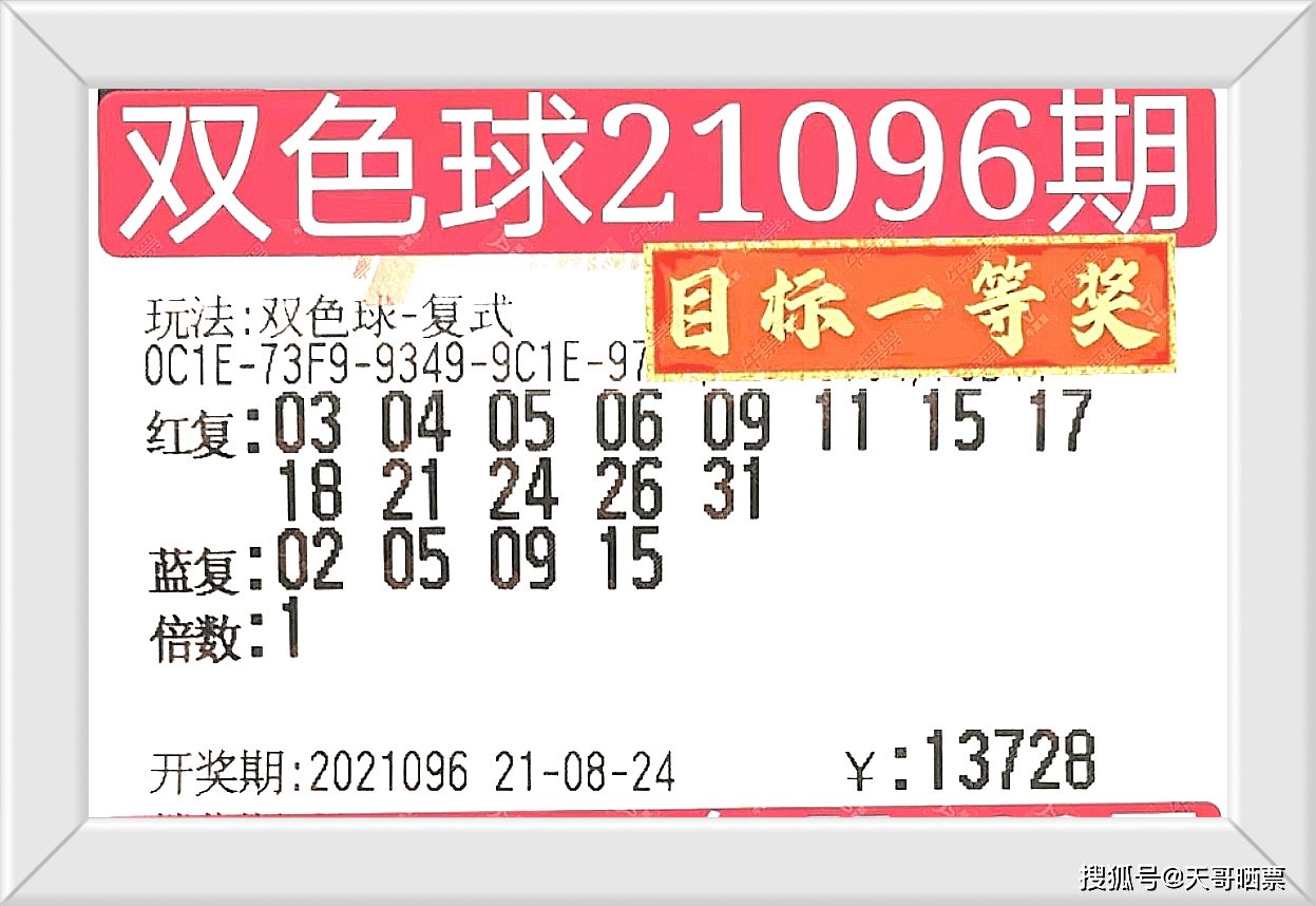 2024澳門今晚開獎號碼