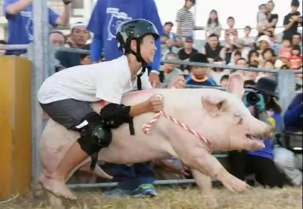 年豬沒按住 男子騎豬狂飆幾十米