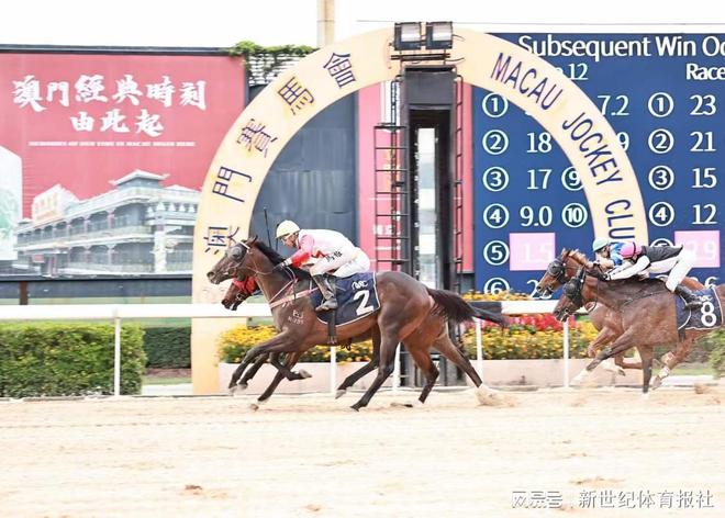 今天澳門今晚馬出什么