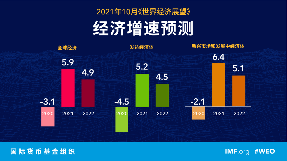 揭秘提升預(yù)測(cè)準(zhǔn)確率之道，經(jīng)典解析展望2025一碼一肖，實(shí)地?cái)?shù)據(jù)驗(yàn)證執(zhí)行_精英版48.74.58