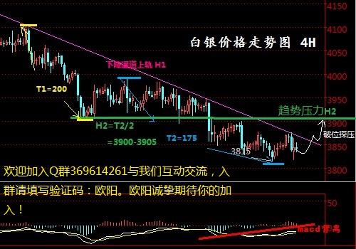 夜明珠預(yù)測一，香港市場趨勢分析 —— 基于實(shí)際數(shù)據(jù)的觀察與預(yù)測（ymz2）結(jié)合eShop數(shù)據(jù)報(bào)告（eShop23.78.71），統(tǒng)計(jì)分析解釋定義_搢版27.82.70